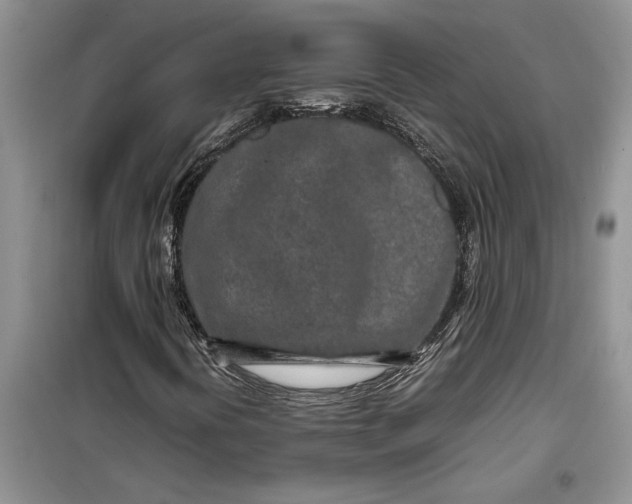 X0000099511394200805291139
