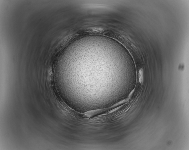 X0000099511395200805291139