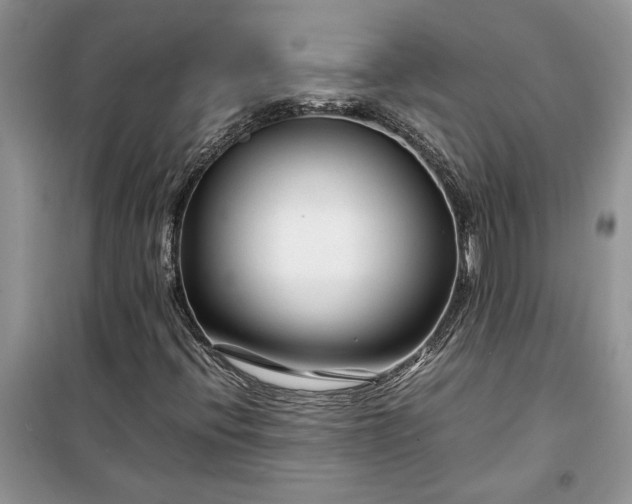 X0000099511396200805291139