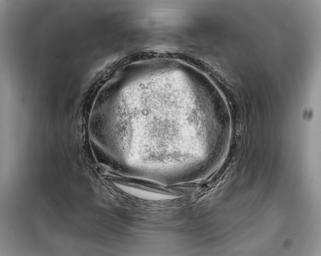 X0000099511398200805291139