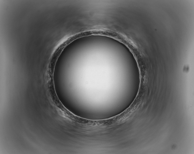 X0000099511400200805291139