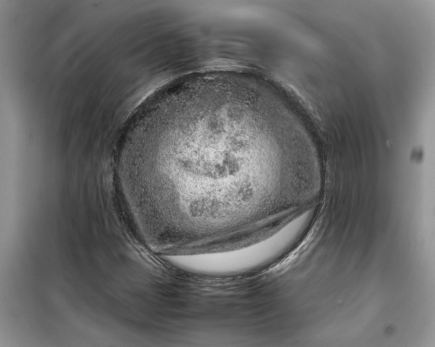 X0000099511401200805291139