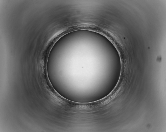 X0000099511402200805291139