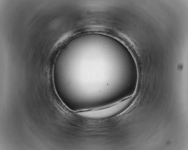 X0000099511403200805291139