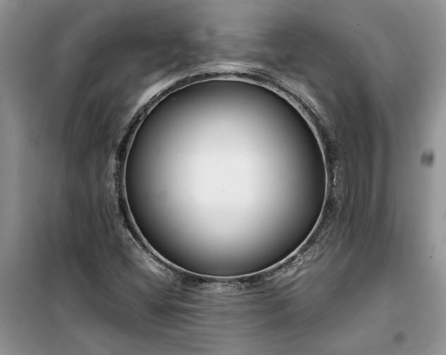 X0000099511404200805291139