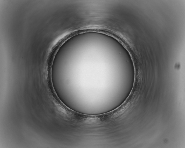X0000099511406200805291139