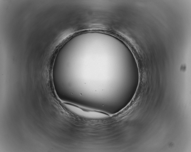 X0000099511407200805291139