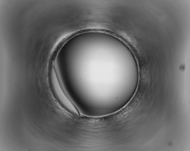 X0000099511408200805291139
