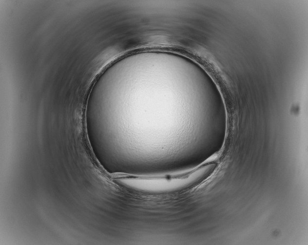 X0000099511409200805291139