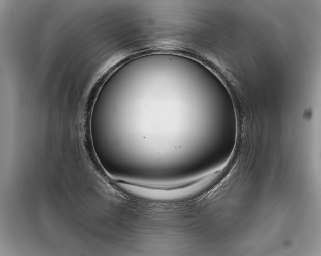X0000099511410200805291139