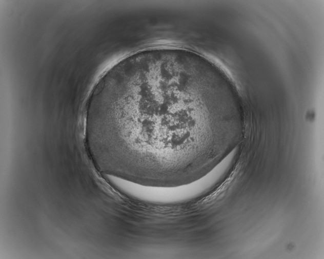 X0000099511413200805291139