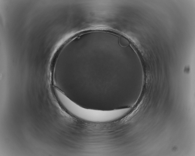 X0000099511414200805291139