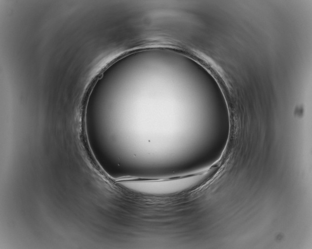 X0000099511415200805291139