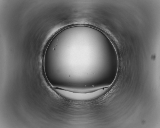 X0000099511416200805291139