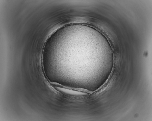 X0000099511417200805291139