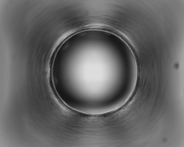 X0000099511418200805291139