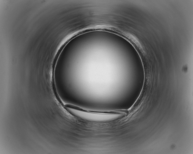 X0000099511420200805291139