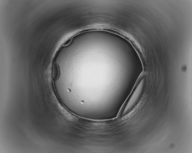 X0000099511421200805291139