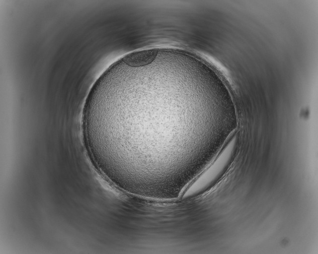 X0000099511423200805291139