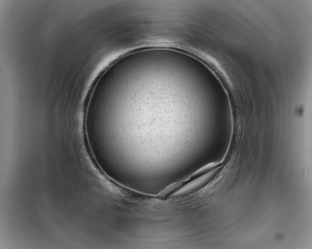 X0000099511424200805291139