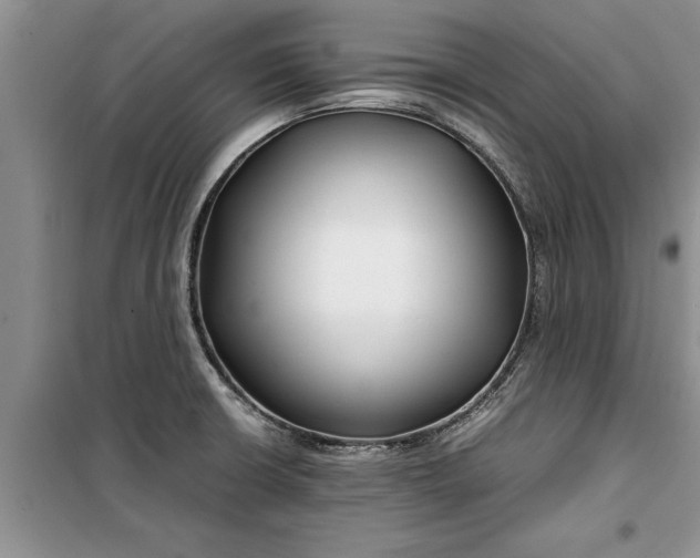 X0000099511426200805291139