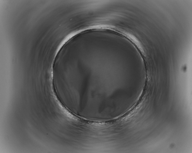 X0000099511428200805291140