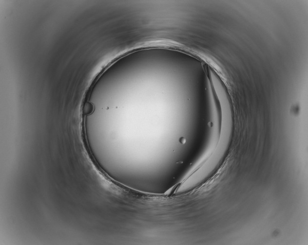 X0000099511430200805291140