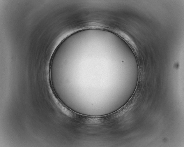 X0000099511431200805291140