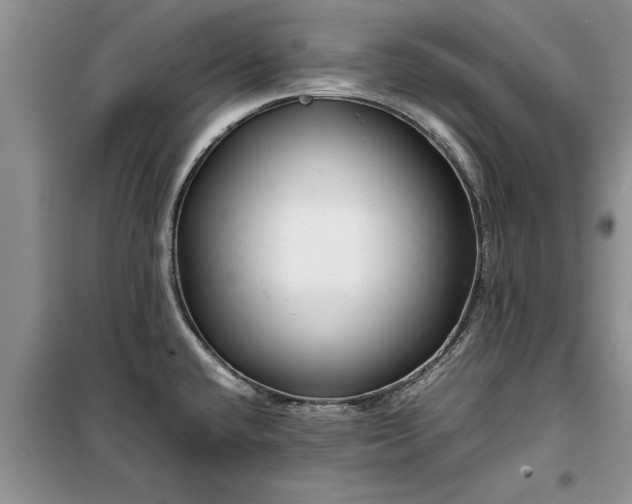 X0000099511432200805291140