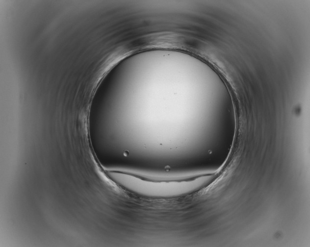 X0000099511433200805291140