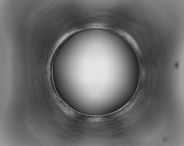 X0000099511435200805291140