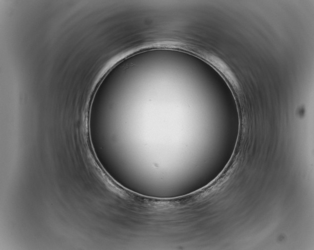 X0000099511436200805291140