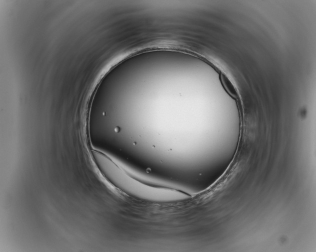 X0000099511437200805291140