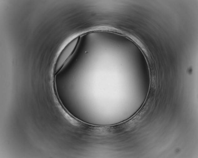 X0000099511438200805291140