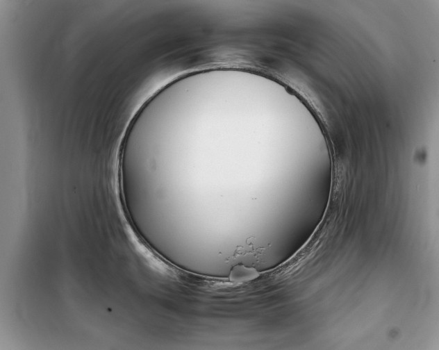 X0000099511439200805291140