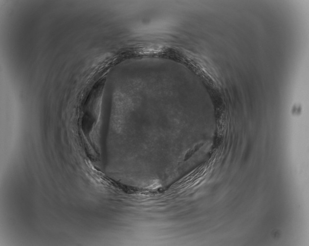 X0000099511441200805291139