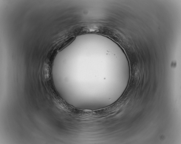 X0000099511442200805291139