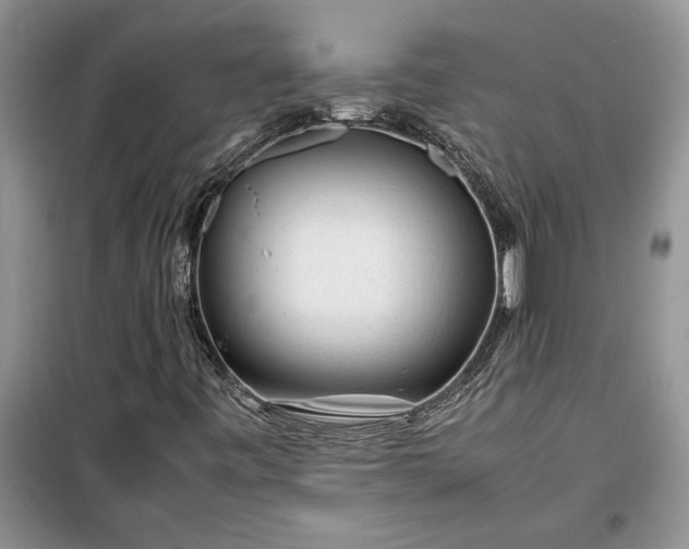 X0000099511443200805291139