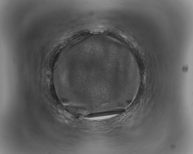 X0000099511445200805291139