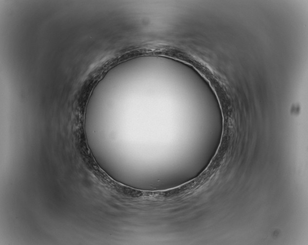 X0000099511447200805291139