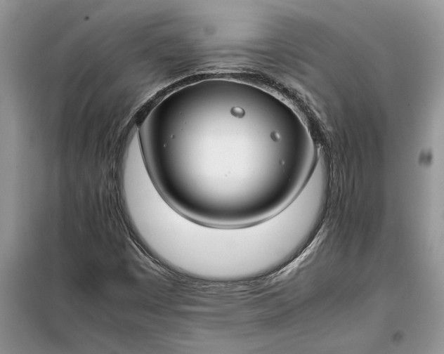 X0000099511449200805291139
