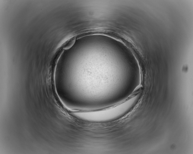 X0000099511450200805291139