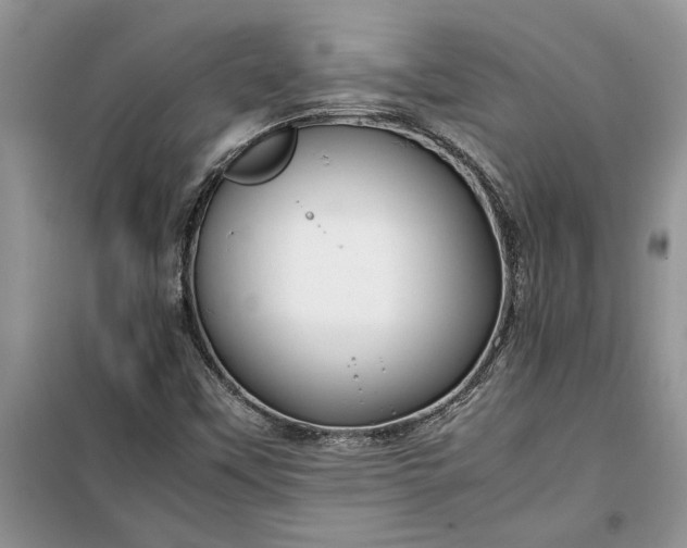X0000099511451200805291139