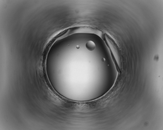X0000099511452200805291139