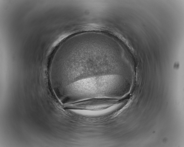 X0000099511453200805291139