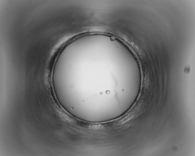 X0000099511454200805291139