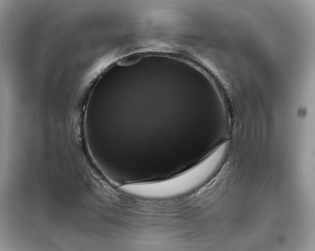 X0000099511455200805291139