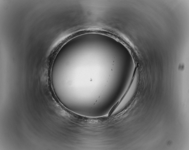 X0000099511456200805291139