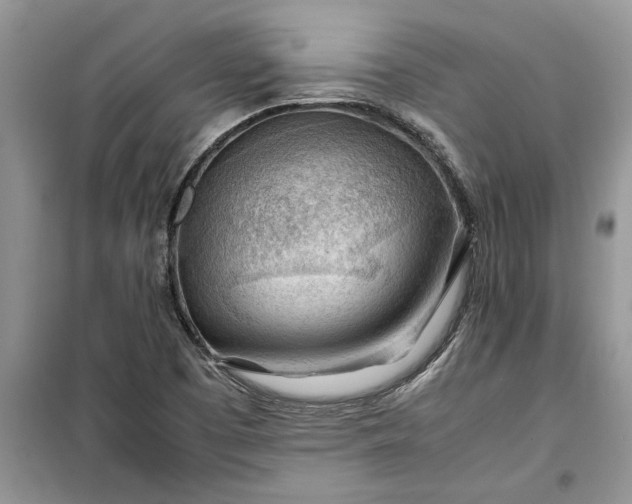 X0000099511457200805291139