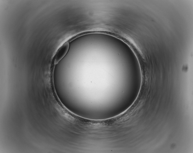 X0000099511460200805291139